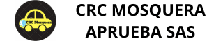 Aprueba Logo