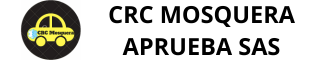 Aprueba Logo